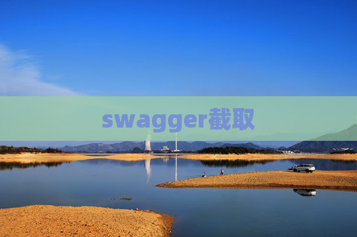 swagger截取